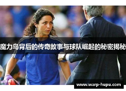 魔力鸟背后的传奇故事与球队崛起的秘密揭秘
