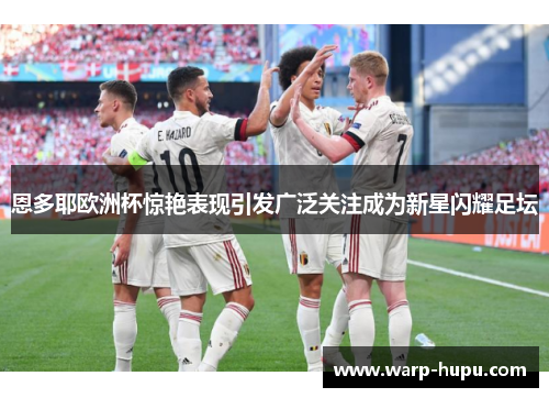 恩多耶欧洲杯惊艳表现引发广泛关注成为新星闪耀足坛